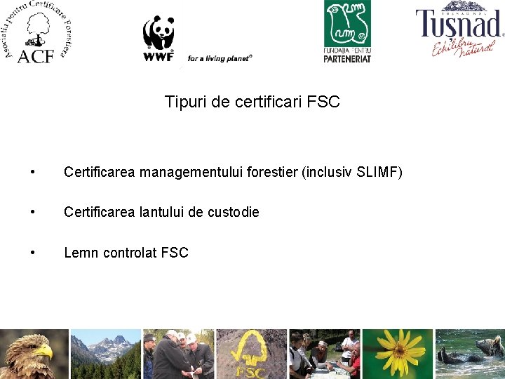 Tipuri de certificari FSC • Certificarea managementului forestier (inclusiv SLIMF) • Certificarea lantului de