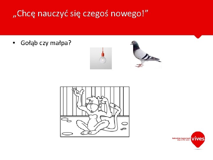 „Chcę nauczyć się czegoś nowego!” • Gołąb czy małpa? 