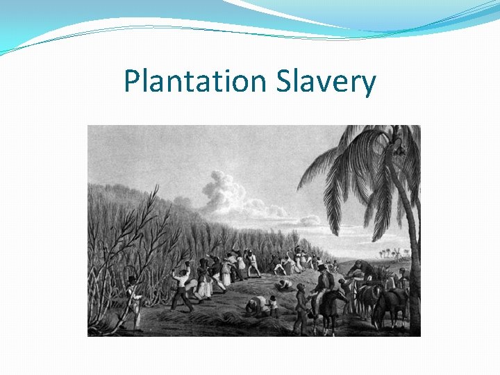 Plantation Slavery 