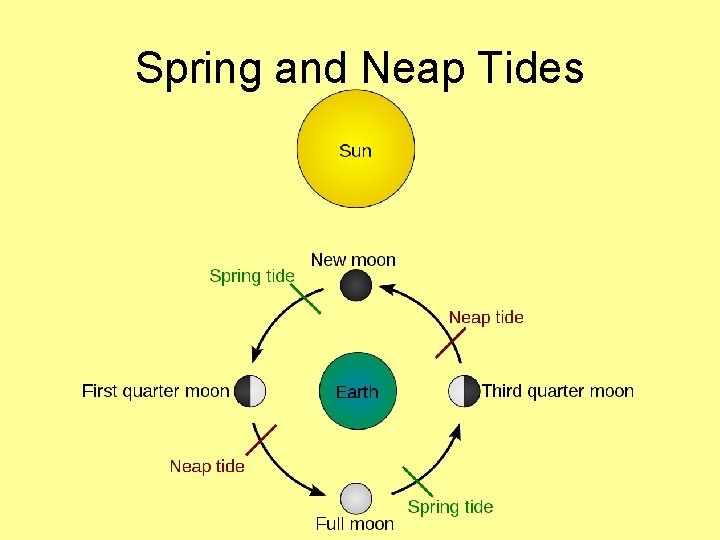 Spring and Neap Tides 