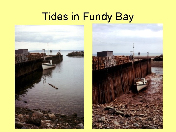 Tides in Fundy Bay 