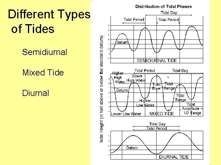 Different Types of Tides Semidiurnal Mixed Tide Diurnal 