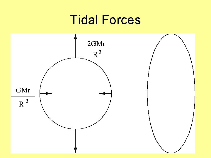 Tidal Forces 