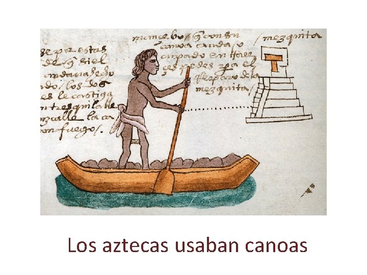 Los aztecas usaban canoas 