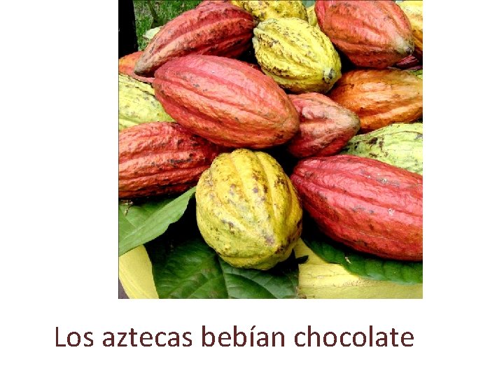 Los aztecas bebían chocolate 