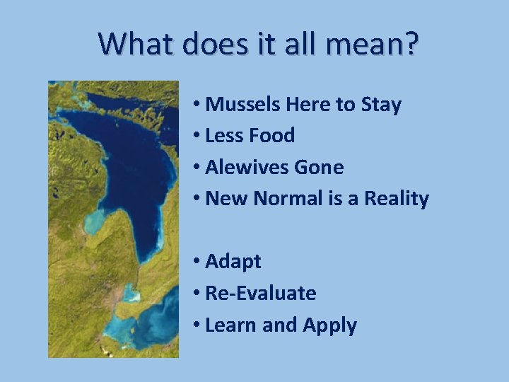 What does it all mean? • Mussels Here to Stay • Less Food •