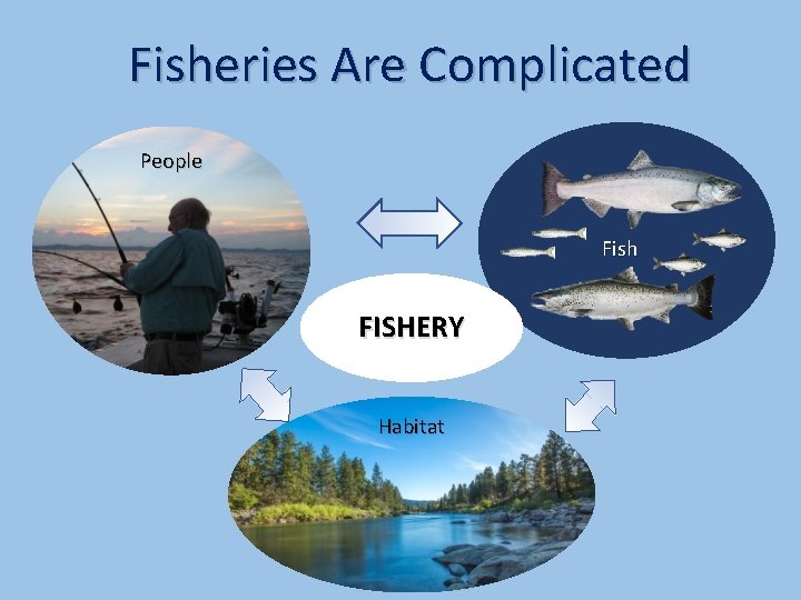 Fisheries Are Complicated People Fish FISHERY Habitat 