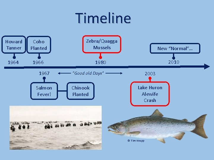 Timeline Howard Tanner Coho Planted Zebra/Quagga Mussels New “Normal”… 1964 1966 1980 2010 1967