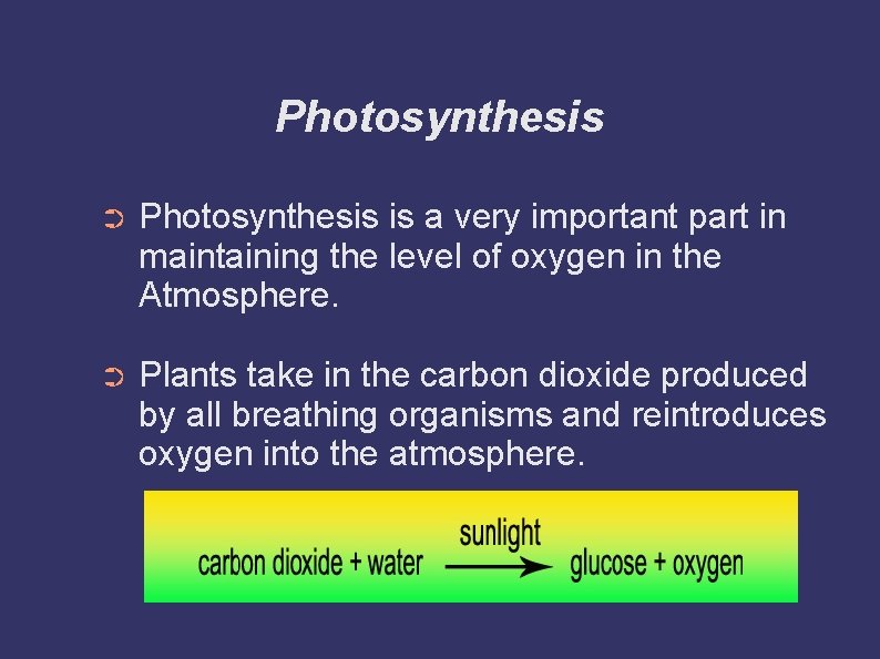 Photosynthesis is how plants make food Plants convert