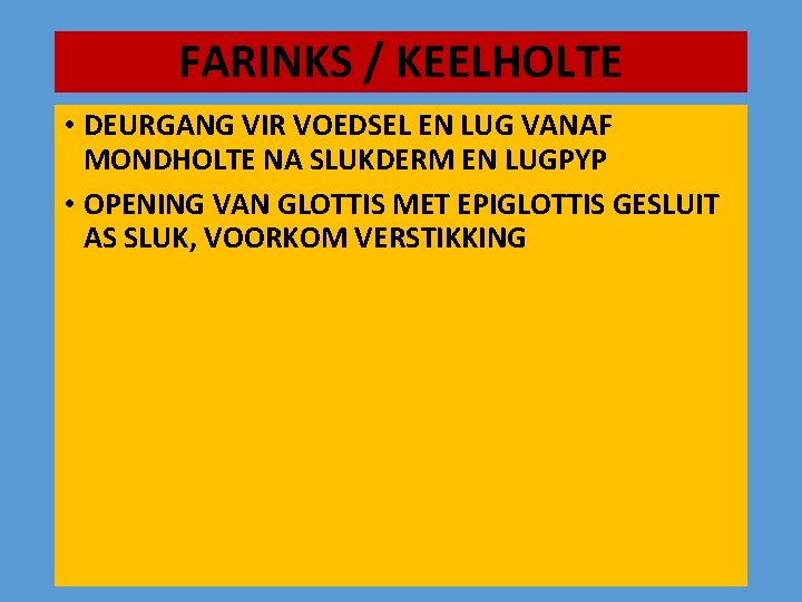 FARINKS / KEELHOLTE • DEURGANG VIR VOEDSEL EN LUG VANAF MONDHOLTE NA SLUKDERM EN