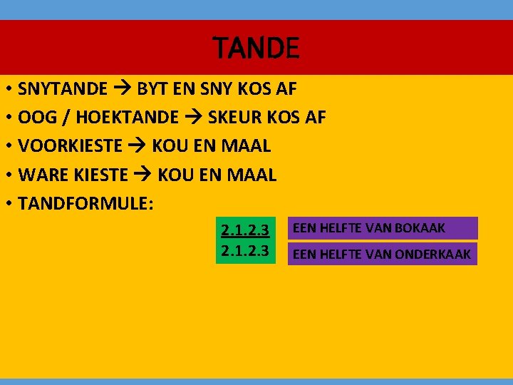 TANDE • SNYTANDE BYT EN SNY KOS AF • OOG / HOEKTANDE SKEUR KOS