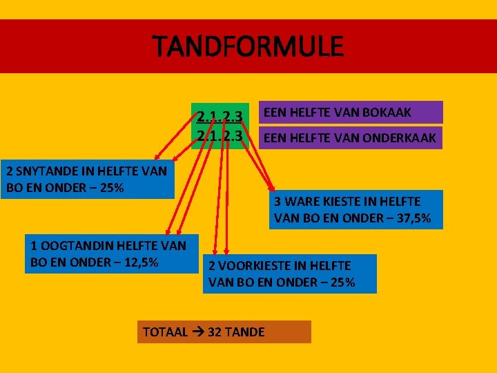 TANDFORMULE 2. 1. 2. 3 EEN HELFTE VAN BOKAAK EEN HELFTE VAN ONDERKAAK 2