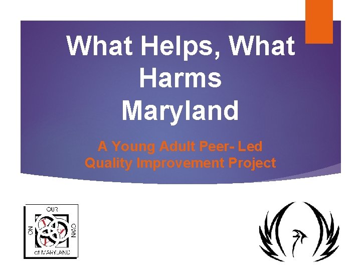 What Helps, What Harms Maryland A Young Adult Peer- Led Quality Improvement Project What Helps, What Harms Maryland A Young Adult Peer- Led Quality Improvement Project