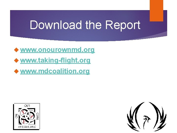 Download the Report www. onourownmd. org www. taking-flight. org www. mdcoalition. org Download the Report www. onourownmd. org www. taking-flight. org www. mdcoalition. org