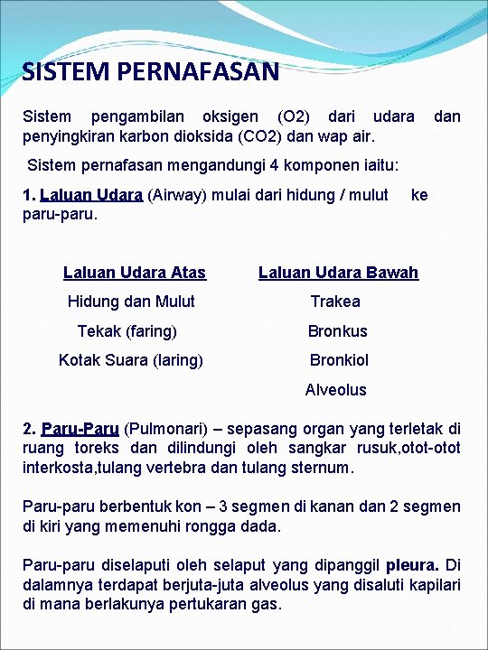 SISTEM PERNAFASAN Sistem pengambilan oksigen (O 2) dari udara penyingkiran karbon dioksida (CO 2)