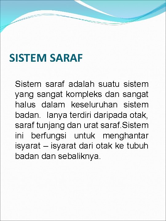SISTEM SARAF Sistem saraf adalah suatu sistem yang sangat kompleks dan sangat halus dalam