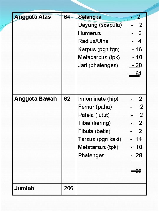 Anggota Atas 64 Selangka Dayung (scapula) Humerus Radius/Ulna Karpus (pgn tgn) Metacarpus (tpk) Jari