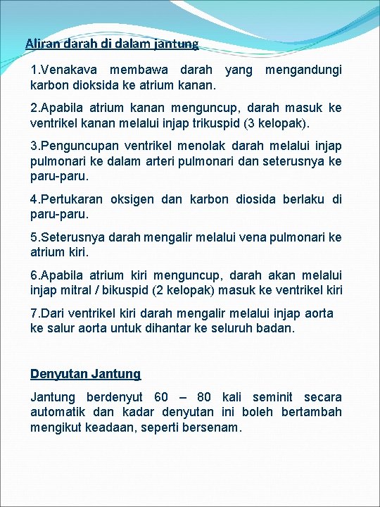 Aliran darah di dalam jantung 1. Venakava membawa darah yang mengandungi karbon dioksida ke