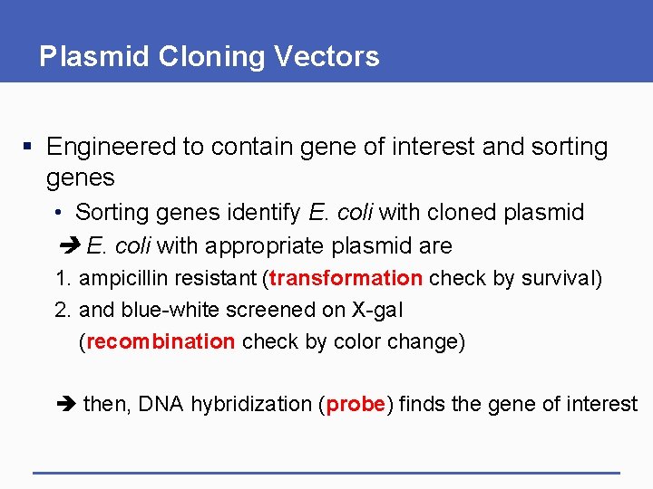 Plasmid Cloning Vectors § Engineered to contain gene of interest and sorting genes •