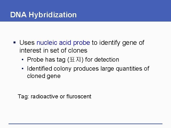 DNA Hybridization § Uses nucleic acid probe to identify gene of interest in set