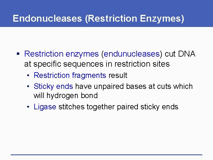 Endonucleases (Restriction Enzymes) § Restriction enzymes (endunucleases) cut DNA at specific sequences in restriction