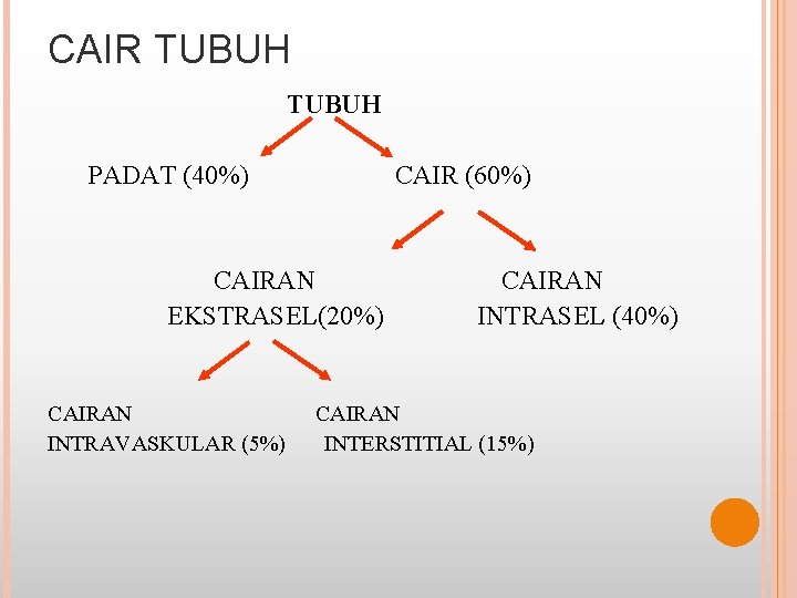CAIR TUBUH PADAT (40%) CAIR (60%) CAIRAN EKSTRASEL(20%) CAIRAN INTRAVASKULAR (5%) CAIRAN INTRASEL (40%)