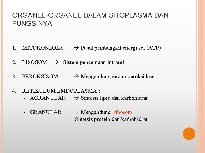 ORGANEL-ORGANEL DALAM SITOPLASMA DAN FUNGSINYA : Pusat pembangkit energi sel (ATP) 1. MITOKONDRIA 2.