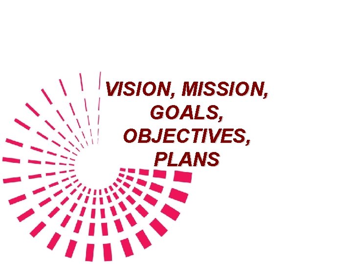 VISION, MISSION, GOALS, OBJECTIVES, PLANS 