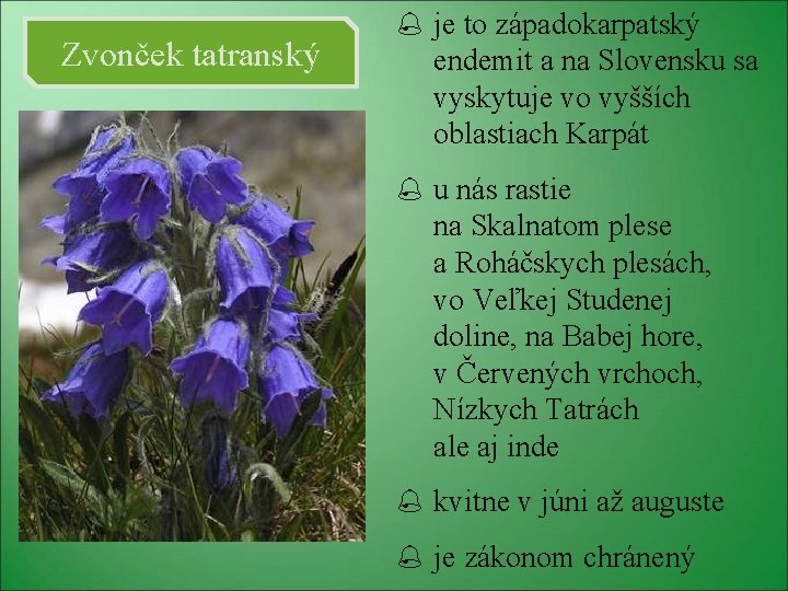 Zvonček tatranský je to západokarpatský endemit a na Slovensku sa vyskytuje vo vyšších oblastiach