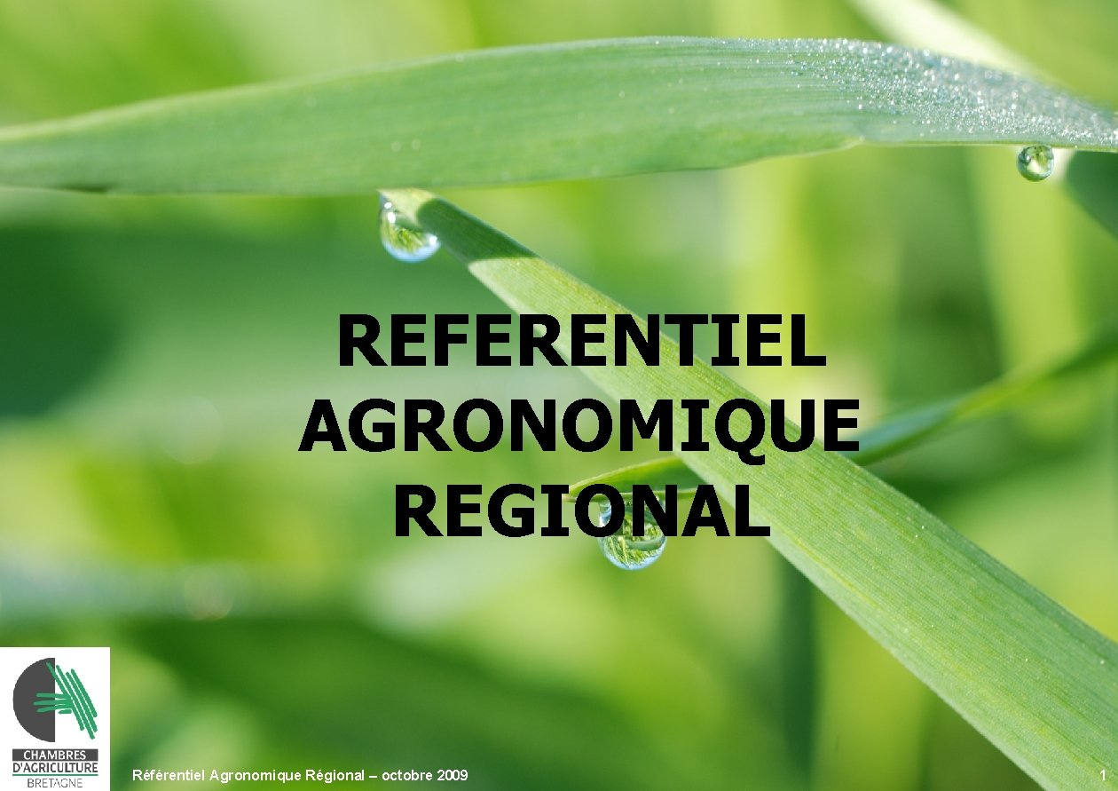 REFERENTIEL AGRONOMIQUE REGIONAL Référentiel Agronomique Régional – octobre 2009 1 