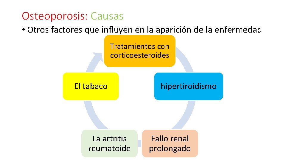 Osteoporosis: Causas • Otros factores que influyen en la aparición de la enfermedad Tratamientos