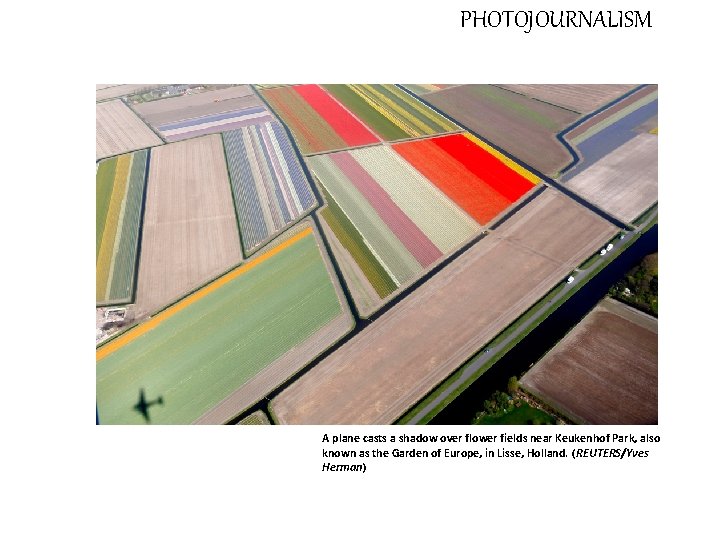 PHOTOJOURNALISM A plane casts a shadow over flower fields near Keukenhof Park, also known