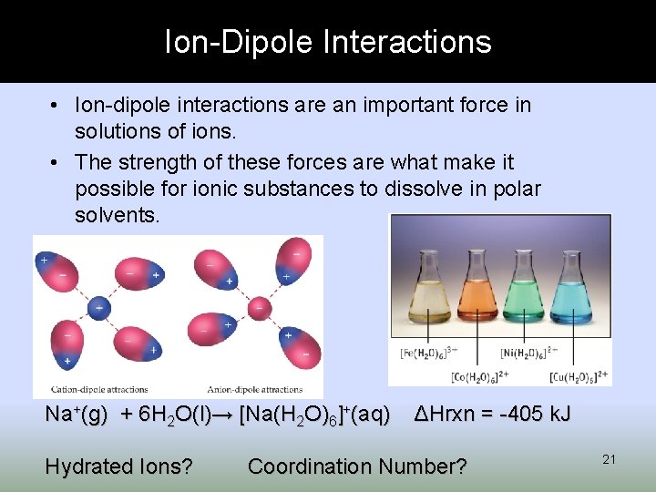 Ion-Dipole Interactions • Ion-dipole interactions are an important force in solutions of ions. •