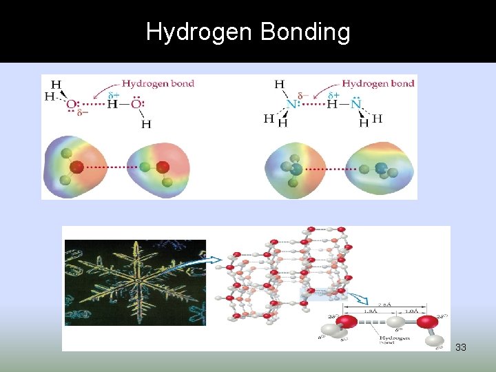 Hydrogen Bonding 33 