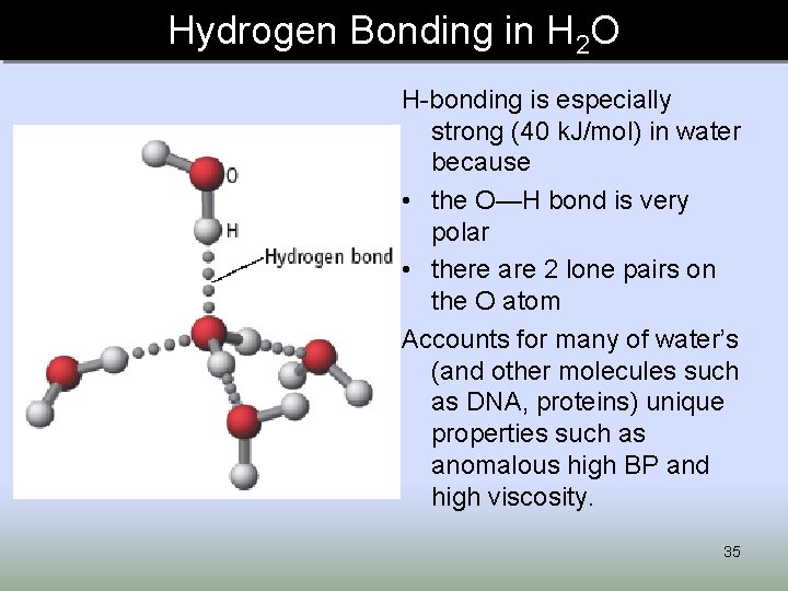 Hydrogen Bonding in H 2 O H-bonding is especially strong (40 k. J/mol) in