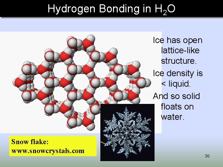 Hydrogen Bonding in H 2 O Ice has open lattice-like structure. Ice density is