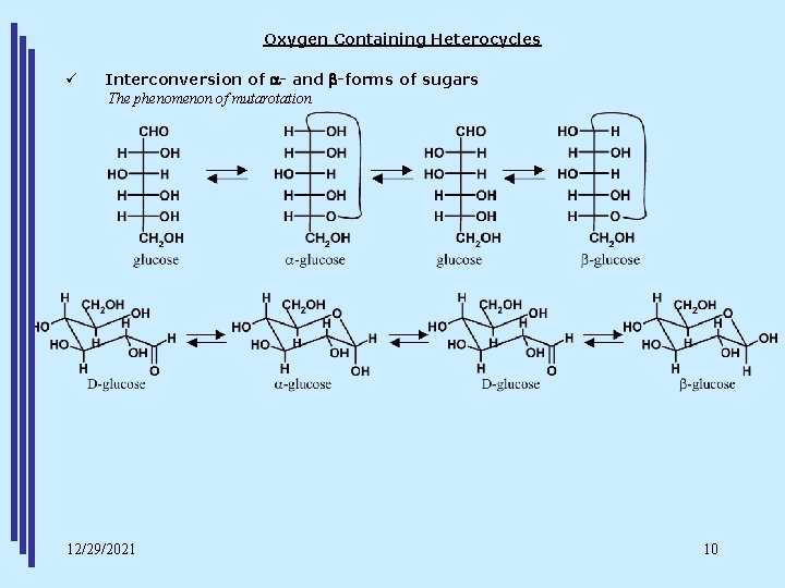 Oxygen Containing Heterocycles ü Interconversion of a- and b-forms of sugars The phenomenon of