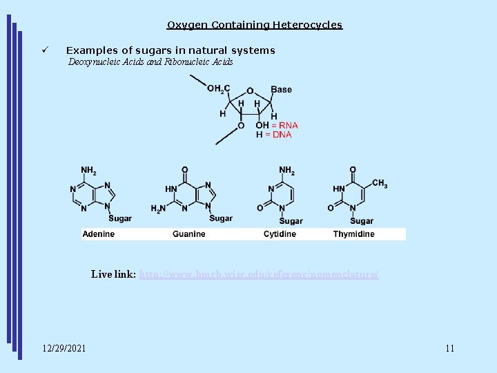 Oxygen Containing Heterocycles ü Examples of sugars in natural systems Deoxynucleic Acids and Ribonucleic