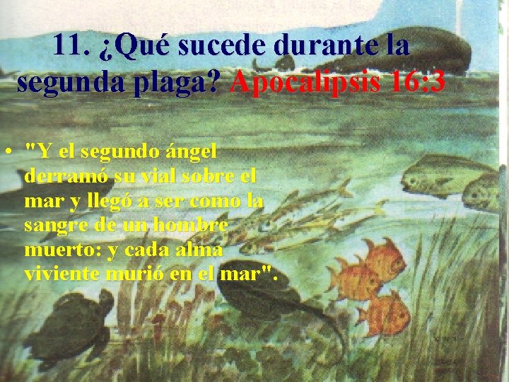 11. ¿Qué sucede durante la segunda plaga? Apocalipsis 16: 3 • "Y el segundo