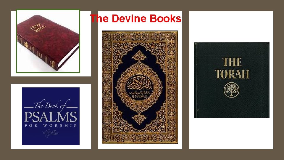 The Devine Books 