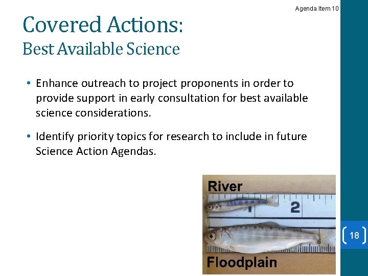 Covered Actions: Agenda Item 10 Best Available Science • Enhance outreach to project proponents