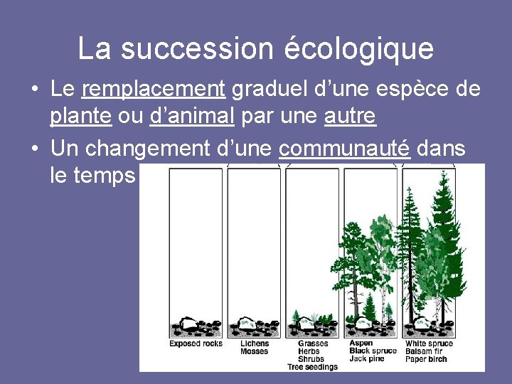 La succession écologique • Le remplacement graduel d’une espèce de plante ou d’animal par