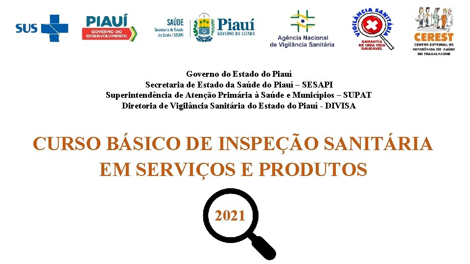 Governo do Estado do Piauí Secretaria de Estado da Saúde do Piauí – SESAPI