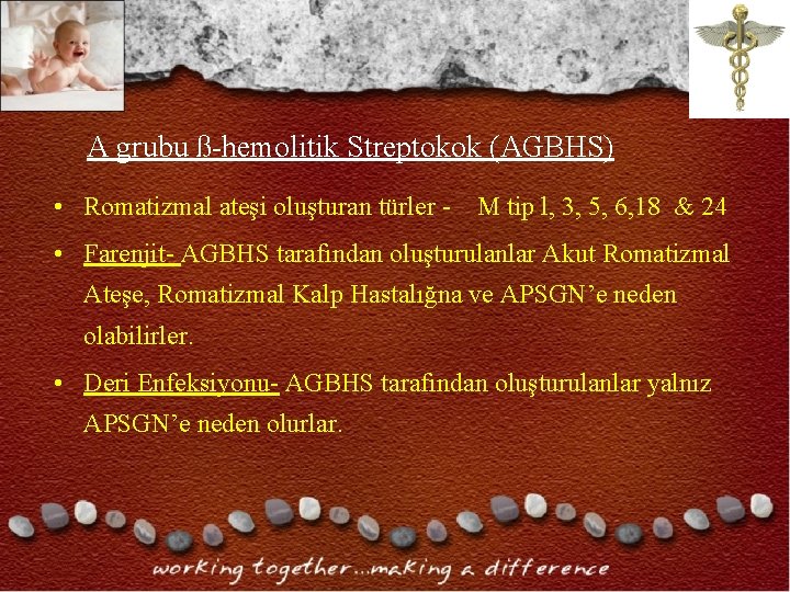 A grubu ß-hemolitik Streptokok (AGBHS) • Romatizmal ateşi oluşturan türler - M tip l, A grubu ß-hemolitik Streptokok (AGBHS) • Romatizmal ateşi oluşturan türler - M tip l,