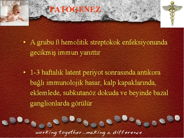 PATOGENEZ • A grubu ß hemolitik streptokok enfeksiyonunda gecikmiş immun yanıttır • 1 -3 PATOGENEZ • A grubu ß hemolitik streptokok enfeksiyonunda gecikmiş immun yanıttır • 1 -3