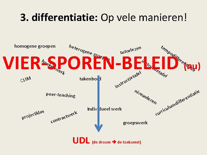 3. differentiatie: Op vele manieren! hete roge homogene groepen ne g roep tem lezen