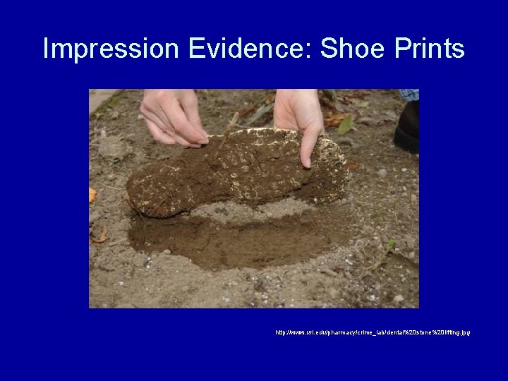 Impression Evidence: Shoe Prints http: //www. uri. edu/pharmacy/crime_lab/dental%20 stone%20 lifting. jpg 