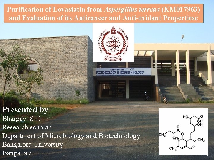 Purification of Lovastatin from Aspergillus terreus (KM 017963) and Evaluation of its Anticancer and