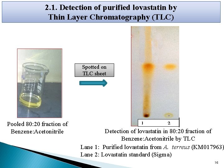 2. 1. Detection of purified lovastatin by Thin Layer Chromatography (TLC) Spotted on TLC