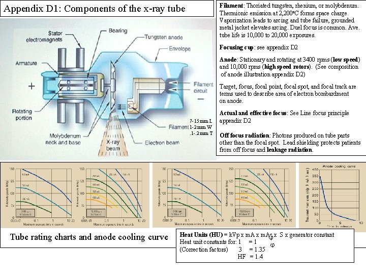 Filament: Thoriated tungsten, rhenium, or molybdenum. Thermionic emission at 2, 200 o. C forms